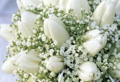 Festeggiamo 15 anni di successi con il fiore degli Sposi: La Gypsophila